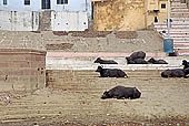 Varanasi, Panchganga Ghat 